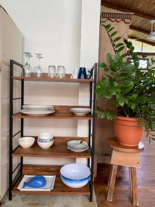 Tropical - Airy, Open Plan Apartment In Heart Of Santa Teresa Playa Santa Teresa  Exteriér fotografie